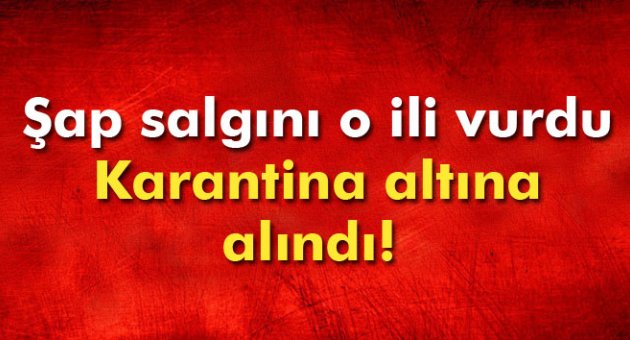 Şap salgını o ili vurdu! Şehir karantina altına alındı
