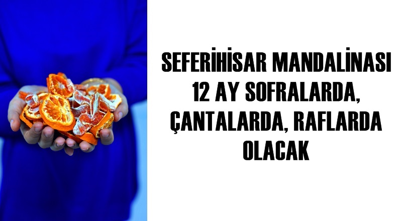 SEFERİHİSAR MANDALİNASI 12 AY SOFRALARDA, ÇANTALARDA, RAFLARDA OLACAK