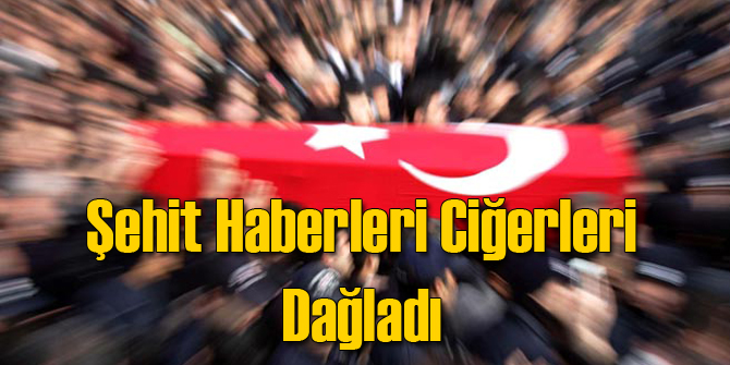 Şehit ve Gazi Haberleri Ülke Gündemine Oturdu