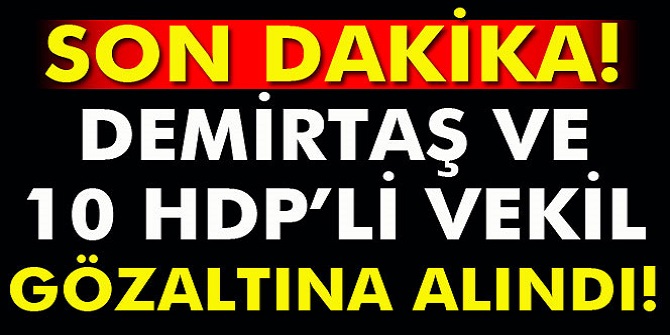 Selahattin Demirtaş, Figen Yüksekda ve çok sayıda HDP'li vekil gözaltında