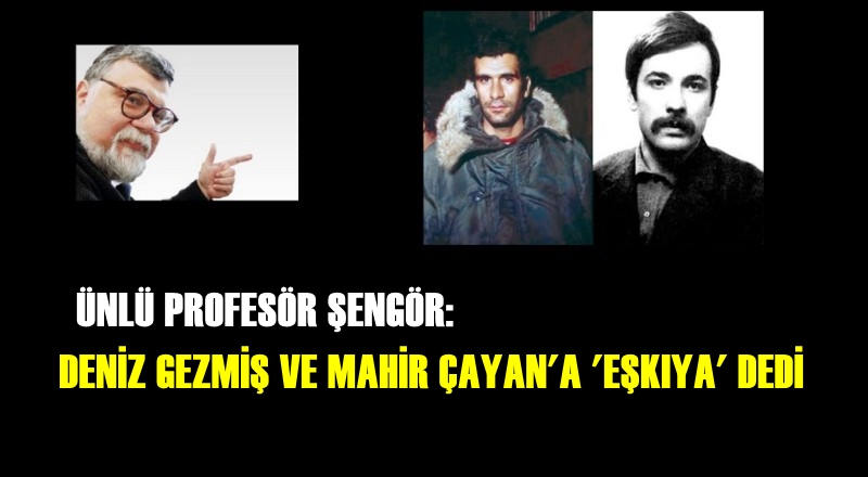 Şengör: Deniz Gezmiş ve Mahir Çayan eşkiyaydı