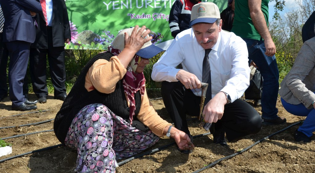 Şifalı Bitkilerin Yeni Üreticileri, İzmirli Çiftçi Kadınlar