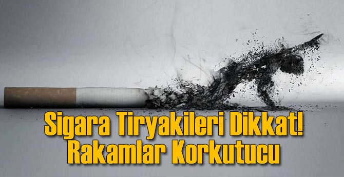 Sigara Tiryakiler Dikkat! Rakamlar Korkutucu