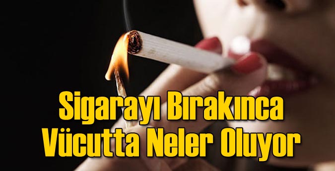 Sigarayı Bırakınca Vücutta Neler Oluyor