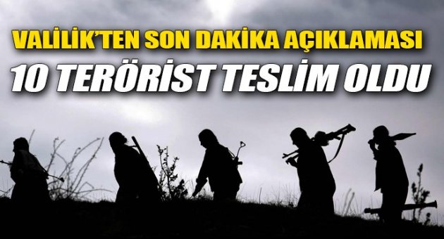 Şırnak'ta 10 PKK'lı teslim oldu