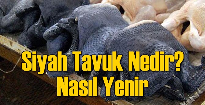 Siyah Tavuk Nedir? Nasıl Yenir