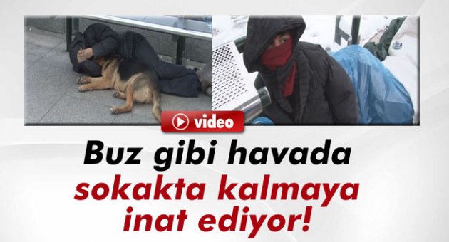 Soğuk havada sokakta kalmakta inat etti!