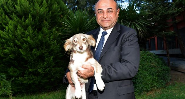 Sokak Hayvanlarına sıcak yuva