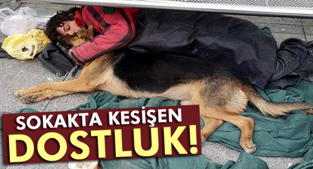 Sokakta kesişen dostluk