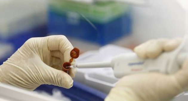 Şok! Domuz gribi kabusu geri döndü!