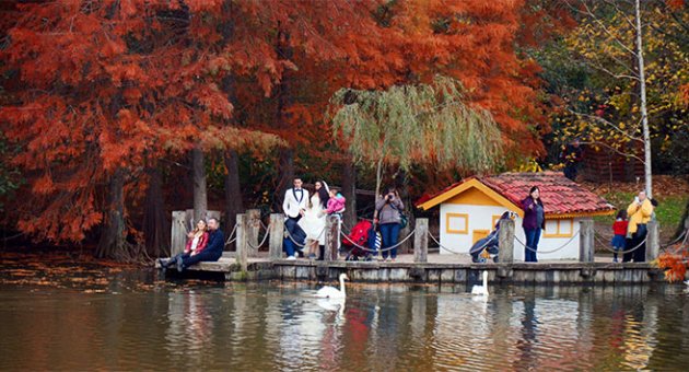 Sonbaharın tüm renkleri Atatürk Arboretumu’nda