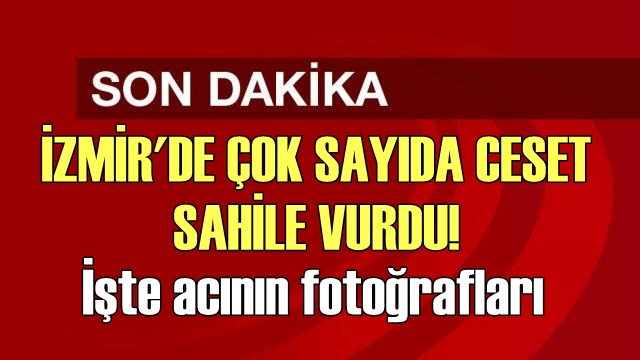 SON DAKİKA! İzmir'de facia! Çok sayıda ceset sahile vurdu!