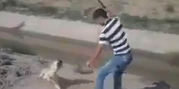 Sosyal medya bu görüntülerle ayağa kalktı