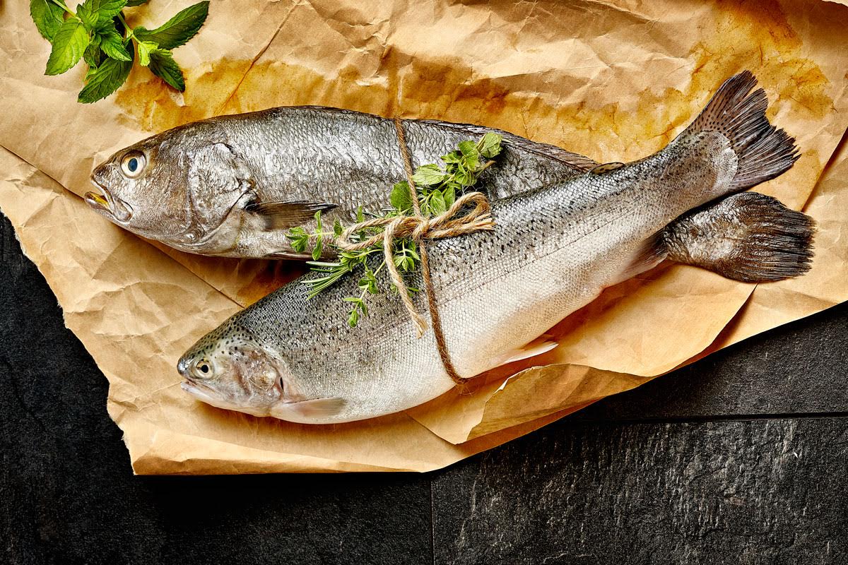 STG, Kuzey Irak’ta tanıtım atağında