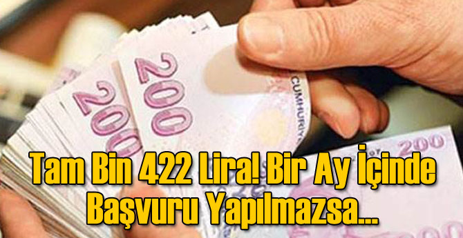 Tam Bin 422 Lira! Bir Ay İçinde Başvuru Yapılmazsa...