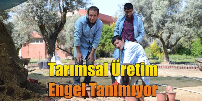 Tarımsal Üretim Engel Tanımıyor