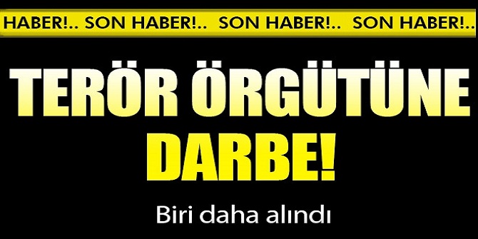Terör örgütüne darbe... Biri daha alındı