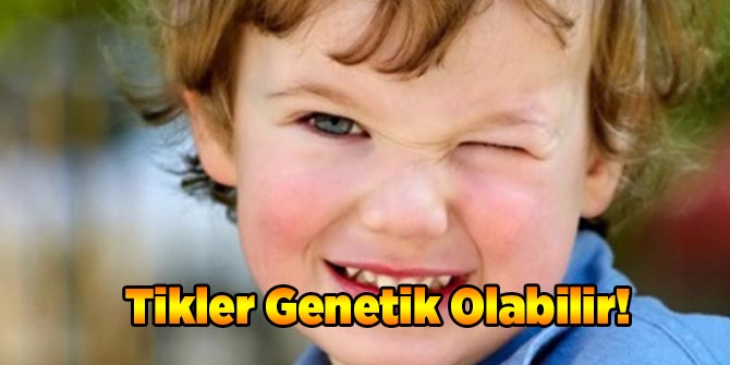 Tikiniz Varsa Genetik Olabilir