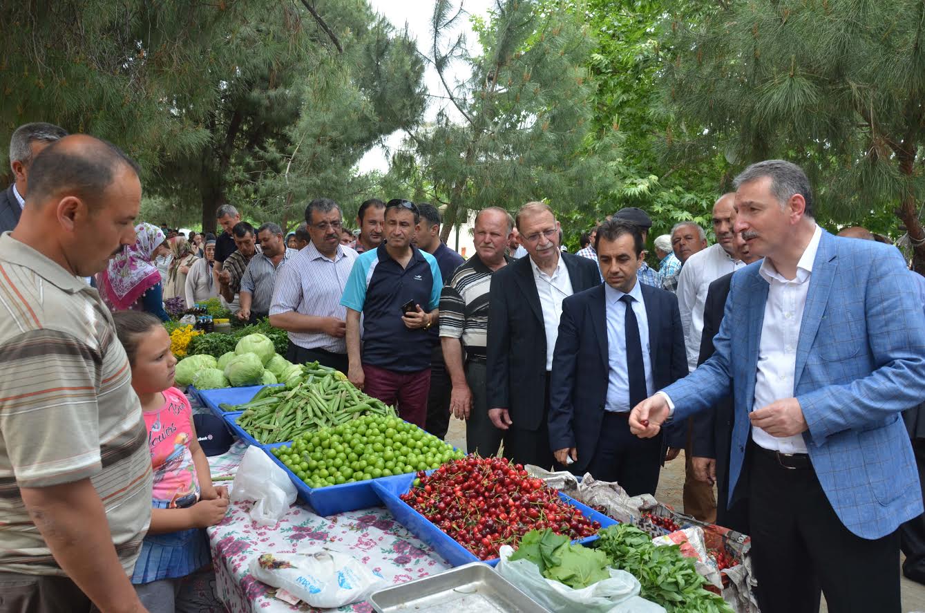 Tire Ot Festivali Coşkuyla Kutlandı