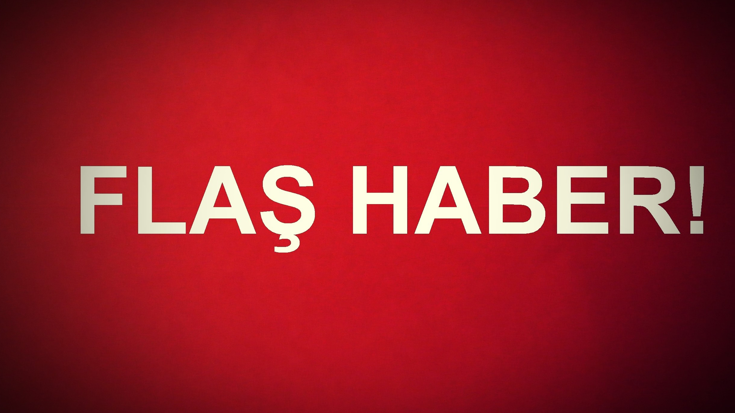 TIR'ın kasasından 35 at çıktı