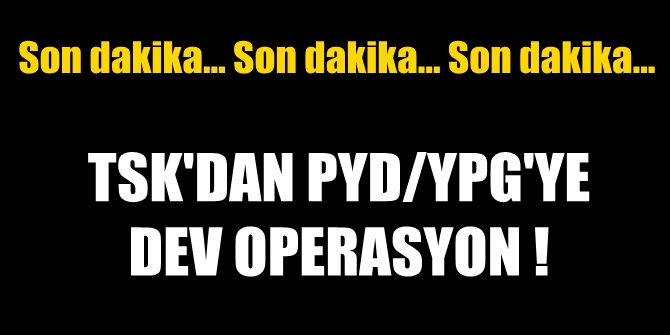 TSK'dan PYD/YPG'ye dev operasyon!