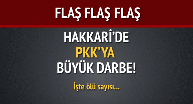 TSK: Hakkari'de 11 terörist öldürüldü!