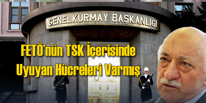 TSK İçinde Uyuyan Hücreleri Varmış