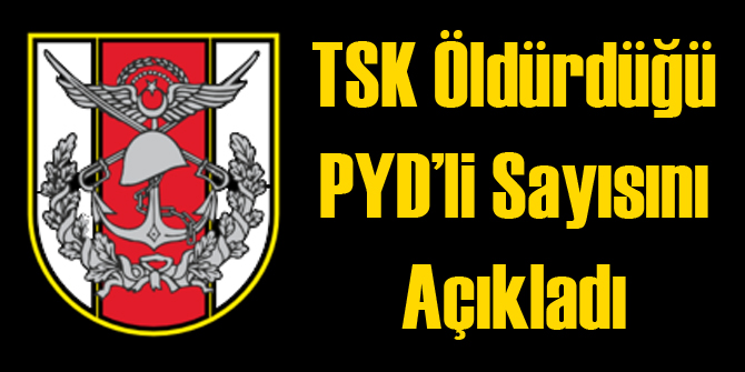 TSK Öldürdüğü PYD'li Sayısını Açıkladı