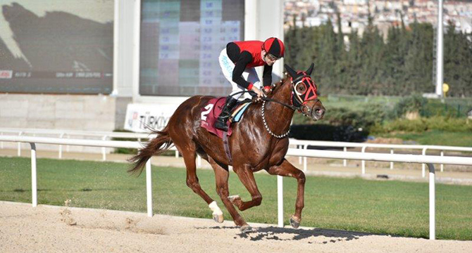 TSYD İzmir Şubesi Koşusu ‘İlkaan’ın