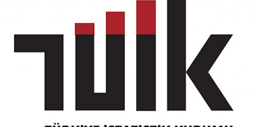 TÜİK 2016 KOBİ Girişim istatistiklerini açıkladı