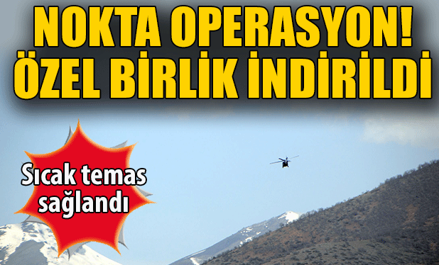 Tunceli'de PKK'ya nokta operasyonu