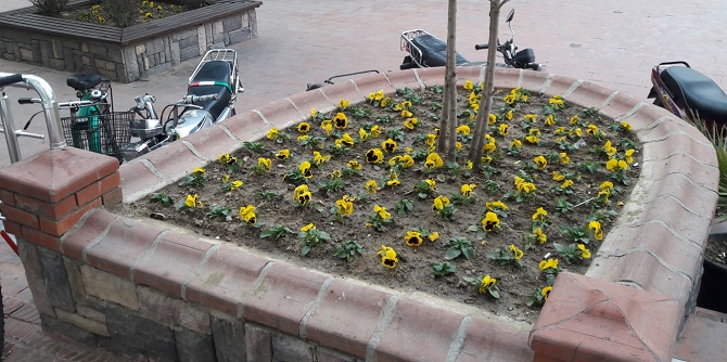 Turgutlu Rengarenk Oluyor