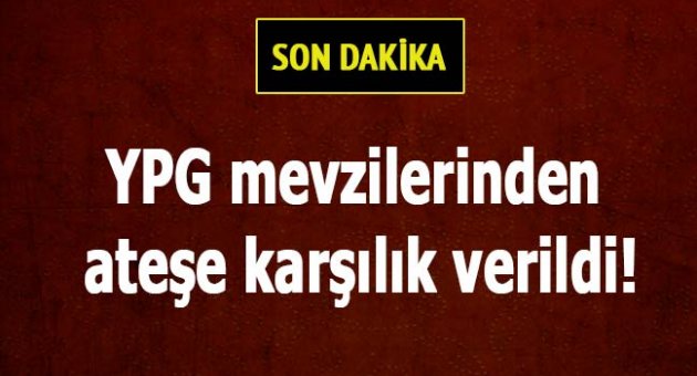 Turizmcilerden Cumhurbaşkanı'nın çağrısına yanıt geldi: Tarkan tanıtım yapsın