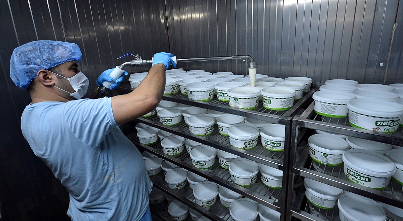 Türkiye’nin en mutlu süt üreticileri Tire’de