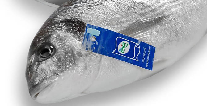 Türkiye’nin İlk Sürdürülebilir Akuakültür Tesisi