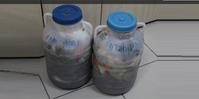 Turşu bidonundan bakın neler çıktı