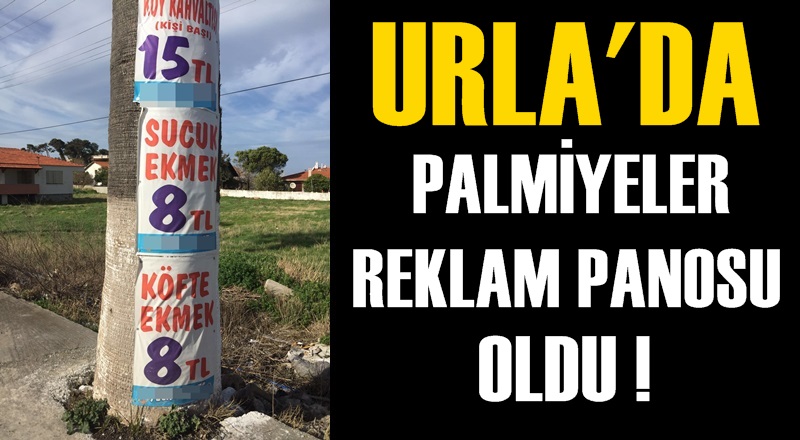 URLA&#039;DA PALMİYELER REKLAM PANOSU OLDU