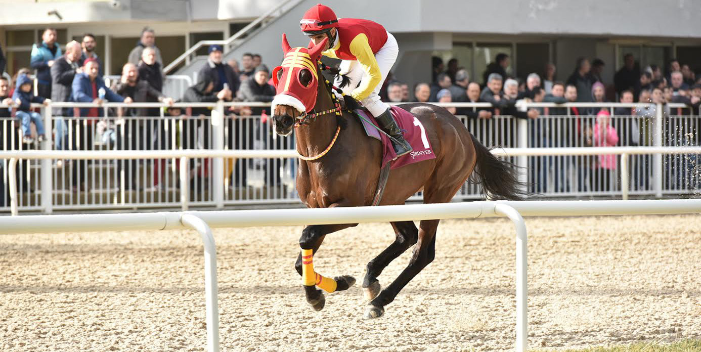 URLA KOŞUSUNDA KAZANAN BABADÖKER OLDU