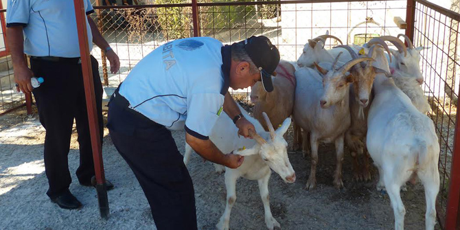 Urla Zabıtası Bayram Denetimine Çıktı