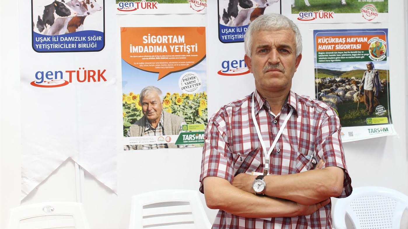 Uşak, kırmızı et üretiminde gözünü zirveye dikti