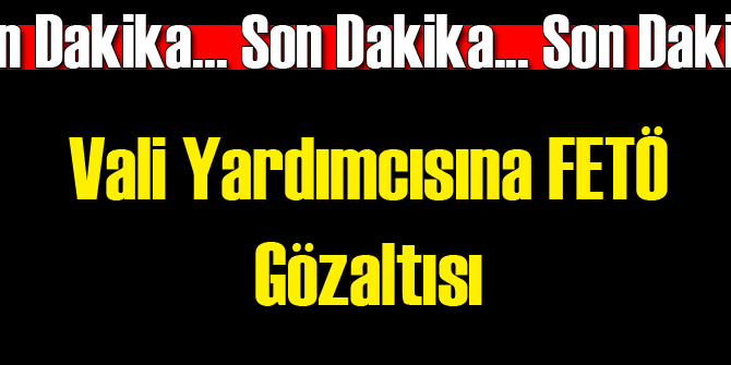 Vali Yardımcısı FETÖ'den Gözaltında