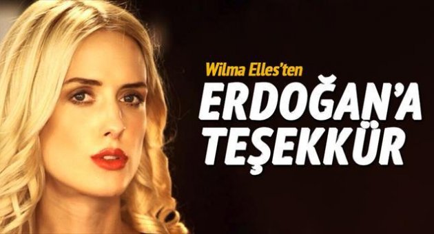 Vatandaşlık sevinci