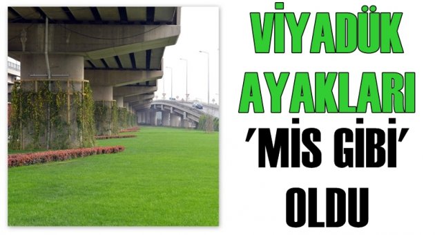 Viyadük ayakları 'mis gibi' oldu