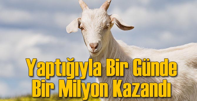 Yaptığıyla 1 Günde Bir Milyon Kazandı!