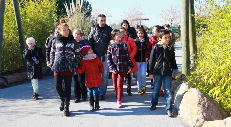 Yarıl yıl tatilinde doyasıya eğleniyorlar