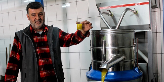 YARIMADA ZEYTİNLERİ GERMİYAN’DA İŞLENİYOR