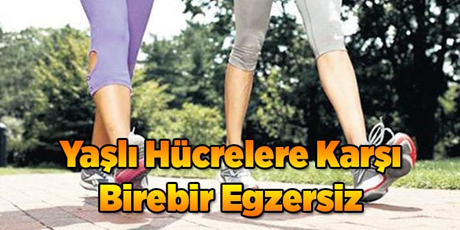 Yaşlı Hücrelere Karşı Birebir Egzersiz