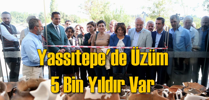 Yassıtepe'de Üzüm 5 Bin Yıldır Var