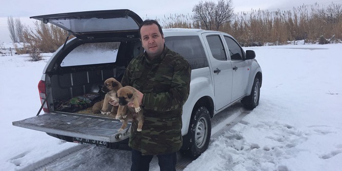 Yavru Köpeklere Büyükşehir Sahip Çıktı