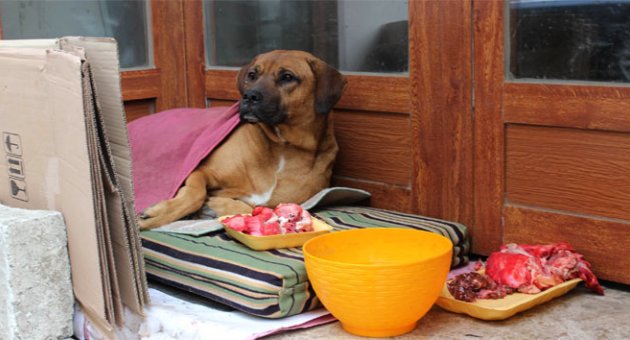 Yediği önünde yemediği arkasında